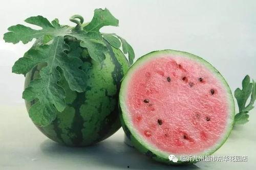 网爆黑料吃瓜不打洋,吃瓜群众如何理性应对“不打洋”现象