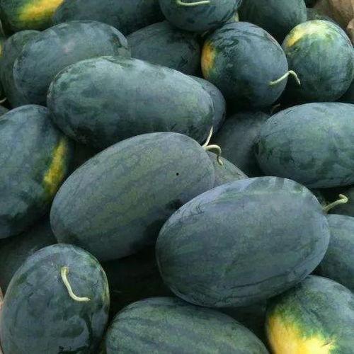 猎奇吃瓜黑料com,网络世界的暗流涌动